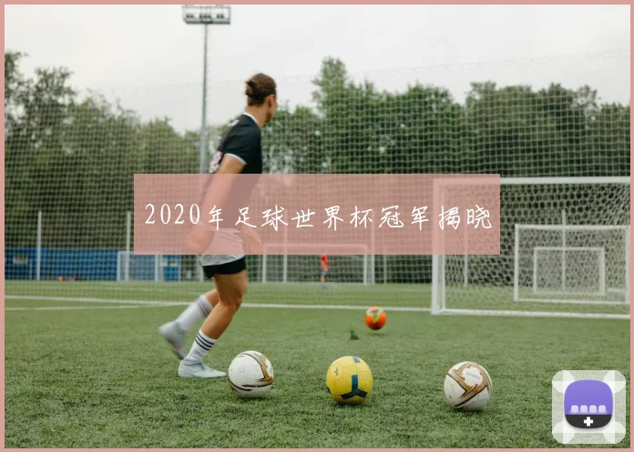2020年足球世界杯冠军揭晓