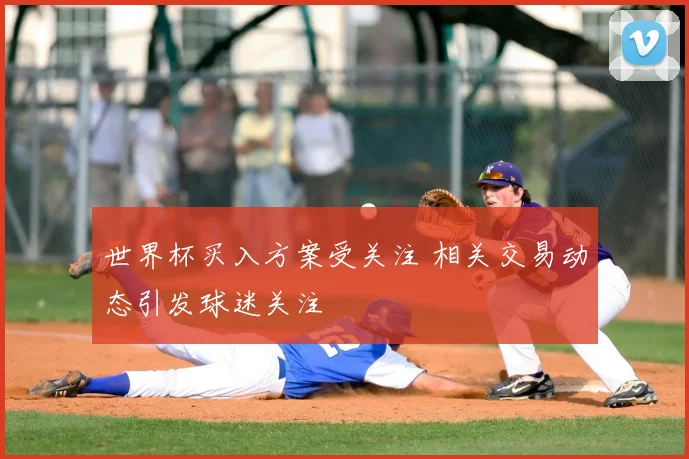 世界杯买入方案受关注 相关交易动态引发球迷关注