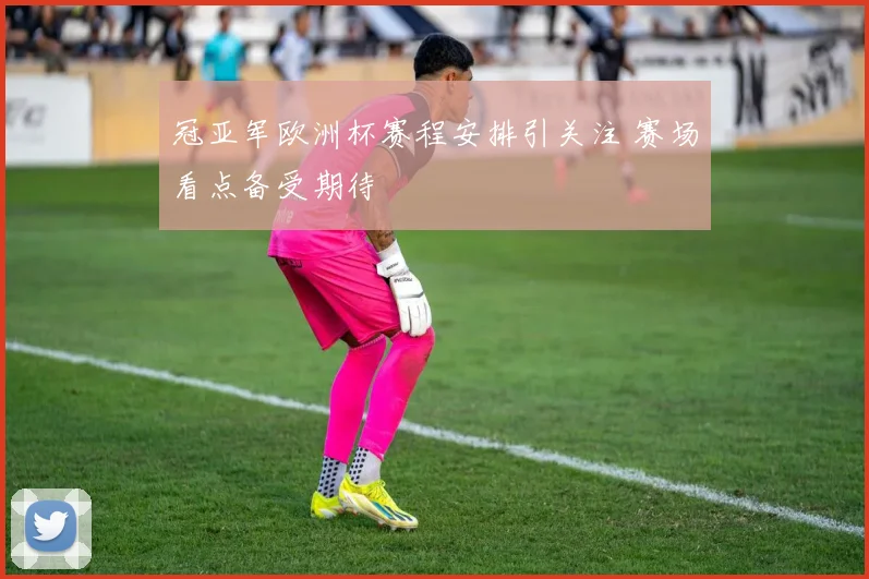 冠亚军欧洲杯赛程安排引关注 赛场看点备受期待