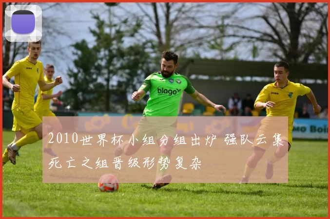 2010世界杯小组分组出炉 强队云集死亡之组晋级形势复杂