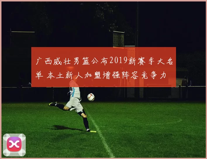 广西威壮男篮公布2019新赛季大名单 本土新人加盟增强阵容竞争力