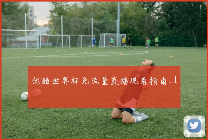 优酷世界杯免流量直播观看指南_1