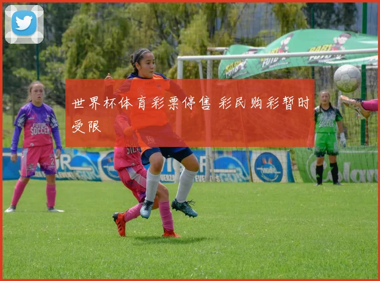 世界杯体育彩票停售 彩民购彩暂时受限